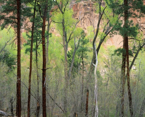 Bandolear National Monument, New Mexico (MF).jpg